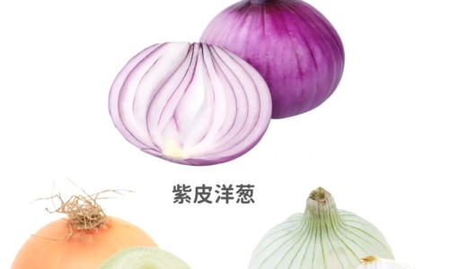 【枸杞煮苹果的功效与作用】枸杞猪腰汤功效与作用 - 枸杞猪腰汤功效网